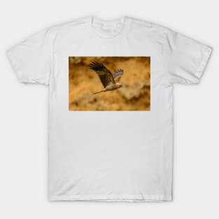Whistling Kite 02 T-Shirt